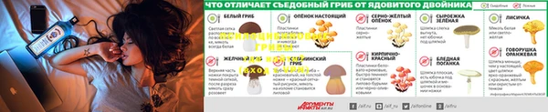 меф Осташков