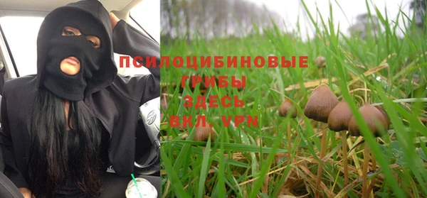 меф Осташков
